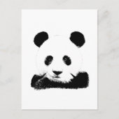 Carte Postale Panda Peeks Out (Devant)