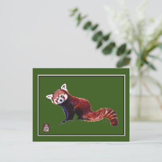 Carte Postale Panda rouge (Debout devant)