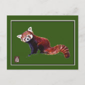 Carte Postale Panda rouge (Devant)