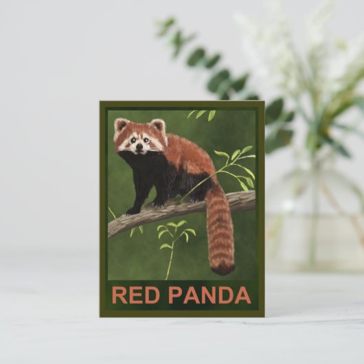 Carte Postale Panda rouge (Debout devant)