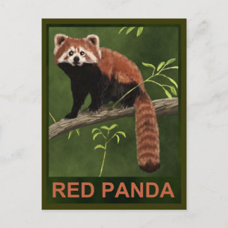 Carte Postale Panda rouge