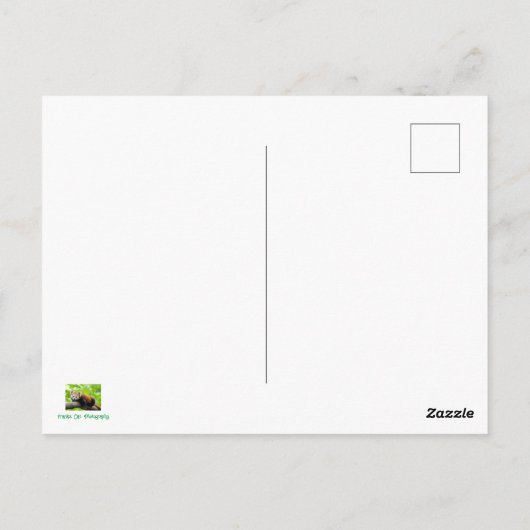 Carte Postale Panda rouge (Dos)