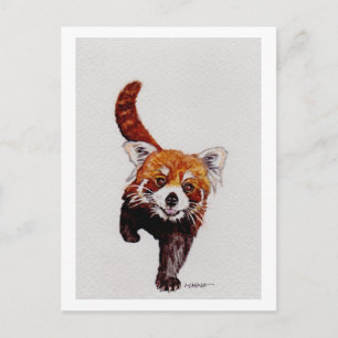 Carte Postale Panda rouge