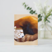 Carte Postale panda rouge (Debout devant)