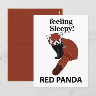 Carte Postale Panda roux ayant sommeil Drôle Panda roux