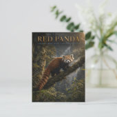 Carte Postale Panda roux Forêt himalayenne ANIMAUX (Debout devant)