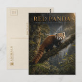 Carte Postale Panda roux Forêt himalayenne ANIMAUX (Devant / Derrière)