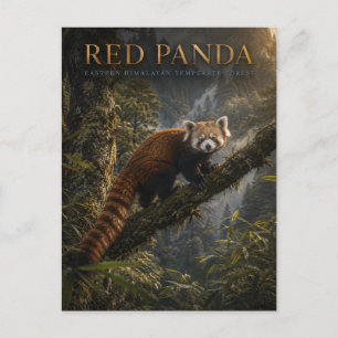 Carte Postale Panda roux Forêt himalayenne ANIMAUX