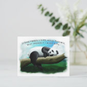 Carte Postale Panda se reposant (Debout devant)