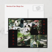CARTE POSTALE PANDA SMILE (Devant / Derrière)