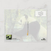Carte Postale Panda Yoga Stretch (Dos)