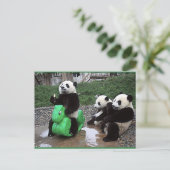 Carte Postale pandabeer (Debout devant)