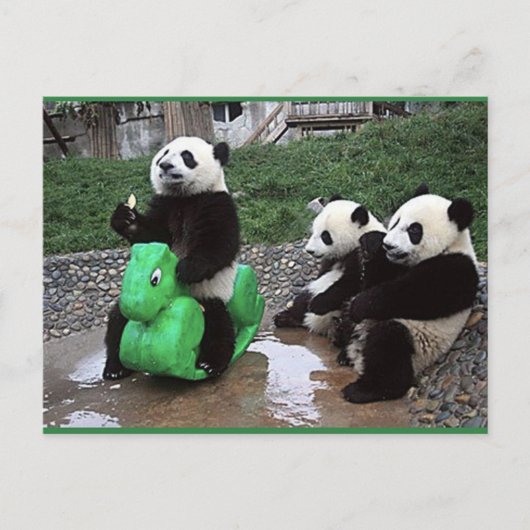 Carte Postale pandabeer (Devant)