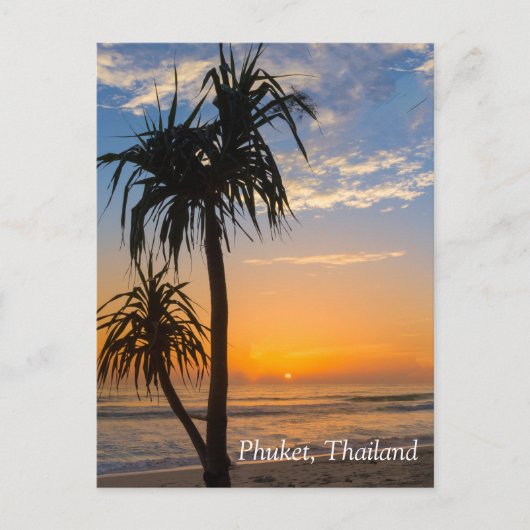 Carte Postale Pandanus au coucher du soleil, Laypang Beach, Bang (Devant)
