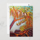 Carte Postale Pandanus Parasol (Devant / Derrière)