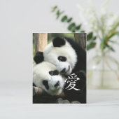 Carte Postale Pandas Chinois Aimants Petits Géants (Debout devant)