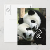 Carte Postale Pandas Chinois Aimants Petits Géants (Devant / Derrière)
