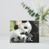 Carte Postale Pandas Chinois Aimants Petits Géants (Debout devant)