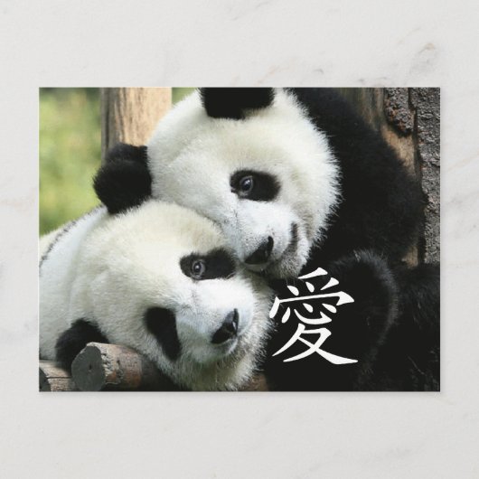 Carte Postale Pandas Chinois Aimants Petits Géants (Devant)