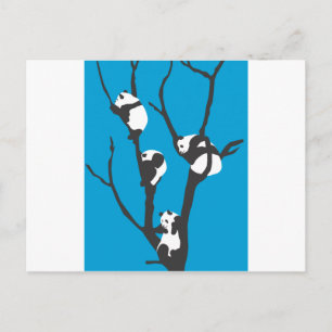Carte Postale Pandas Hangin' Out