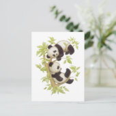 Carte Postale Pandas jouant dans un arbre (Debout devant)