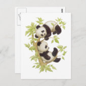 Carte Postale Pandas jouant dans un arbre (Devant / Derrière)