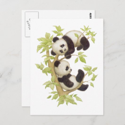 Carte Postale Pandas jouant dans un arbre (Devant / Derrière)