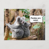 Carte Postale Pandas ou Koalas - Qui sont plus mignons ? (Devant)