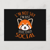 Carte Postale Pandas rouges sélectivement social Pet animal anim (Devant)