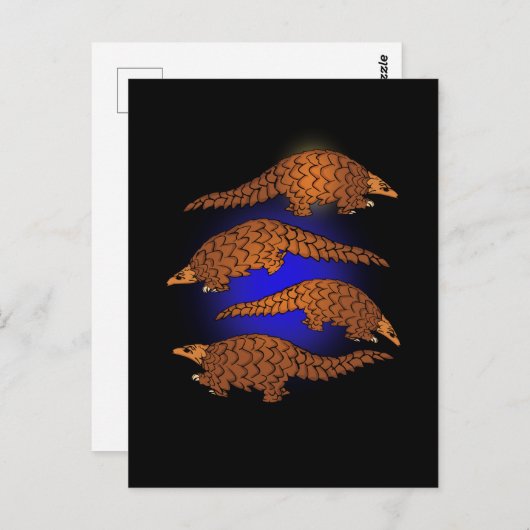 Carte Postale Pangolin Cadeaux Hommes Pangolin Lover Femmes Pang (Devant / Derrière)