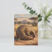 Carte Postale Pangolin dans le parc national Kruger Afrique du S (Debout devant)