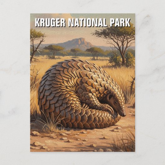 Carte Postale Pangolin dans le parc national Kruger Afrique du S (Devant)