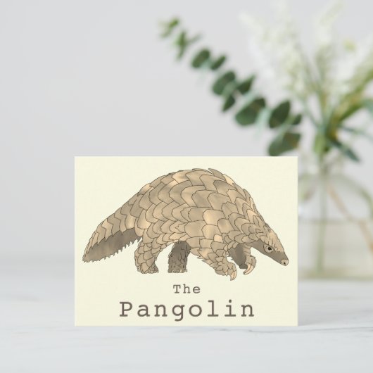 Carte Postale Pangolin Espèces en péril Espèces animales Art (Debout devant)
