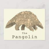 Carte Postale Pangolin Espèces en péril Espèces animales Art (Devant)