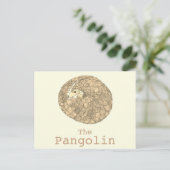 Carte Postale Pangolin Espèces en péril Espèces animales Art (Debout devant)