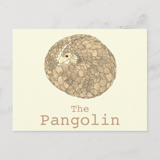 Carte Postale Pangolin Espèces en péril Espèces animales Art (Devant)