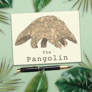 Carte Postale Pangolin Faune Espèce Menacée Animal Art
