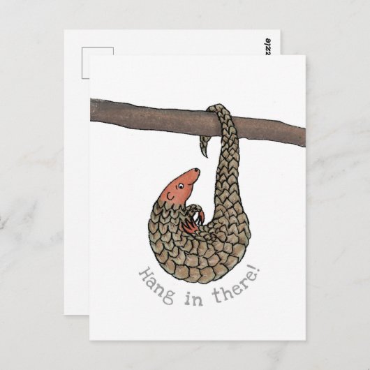 Carte postale Pangolin 'pendre là-dedans' (Devant / Derrière)
