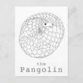 Carte Postale Pangolin roulé dessin simple (Devant)