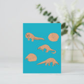 Carte Postale Pangolins (Debout devant)