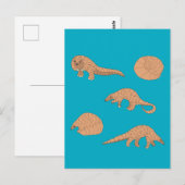 Carte Postale Pangolins (Devant / Derrière)