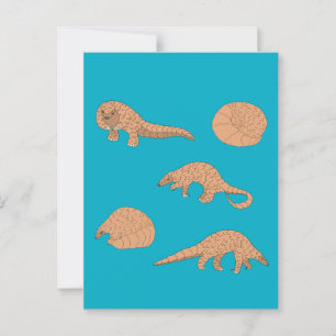Carte Postale Pangolins