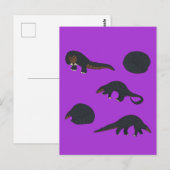 Carte Postale Pangolins à ventre noir (Devant / Derrière)