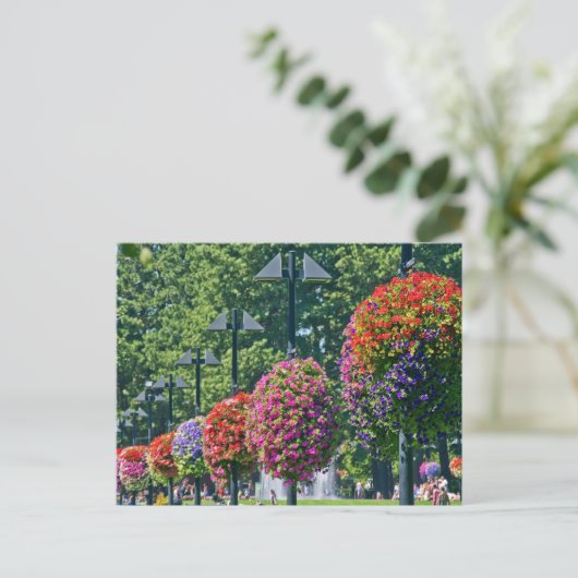 Carte Postale Panier à fleurs (Debout devant)