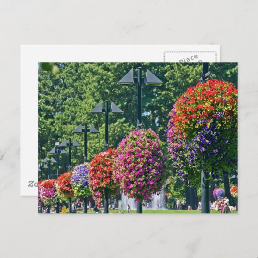 Carte Postale Panier à fleurs (Devant / Derrière)