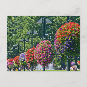 Carte Postale Panier à fleurs