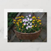 Carte Postale Panier avec Violas (Devant / Derrière)