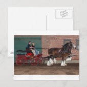 Carte Postale Panier Clydesdales (Devant / Derrière)