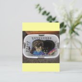 Carte Postale Panier de blanchisserie Kitties (Debout devant)