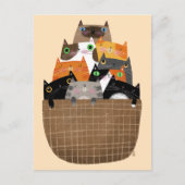 Carte Postale Panier de chatons (Devant)